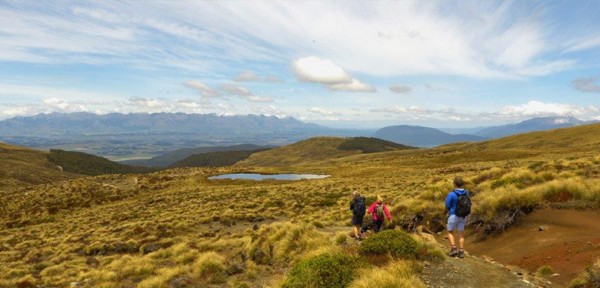 Fiordland hiking 6 luxmore hut Fiordland hiking 6 luxmore hut