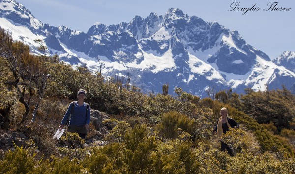Routeburn Key Summit Routeburn Key Summit