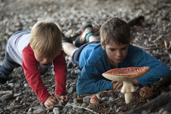 In Autum fungi can be seen all around the Kepler Track (how cute are the bosses kids?!) In Autum fungi can be seen all around the Kepler Track (how cute are the bosses kids?!)