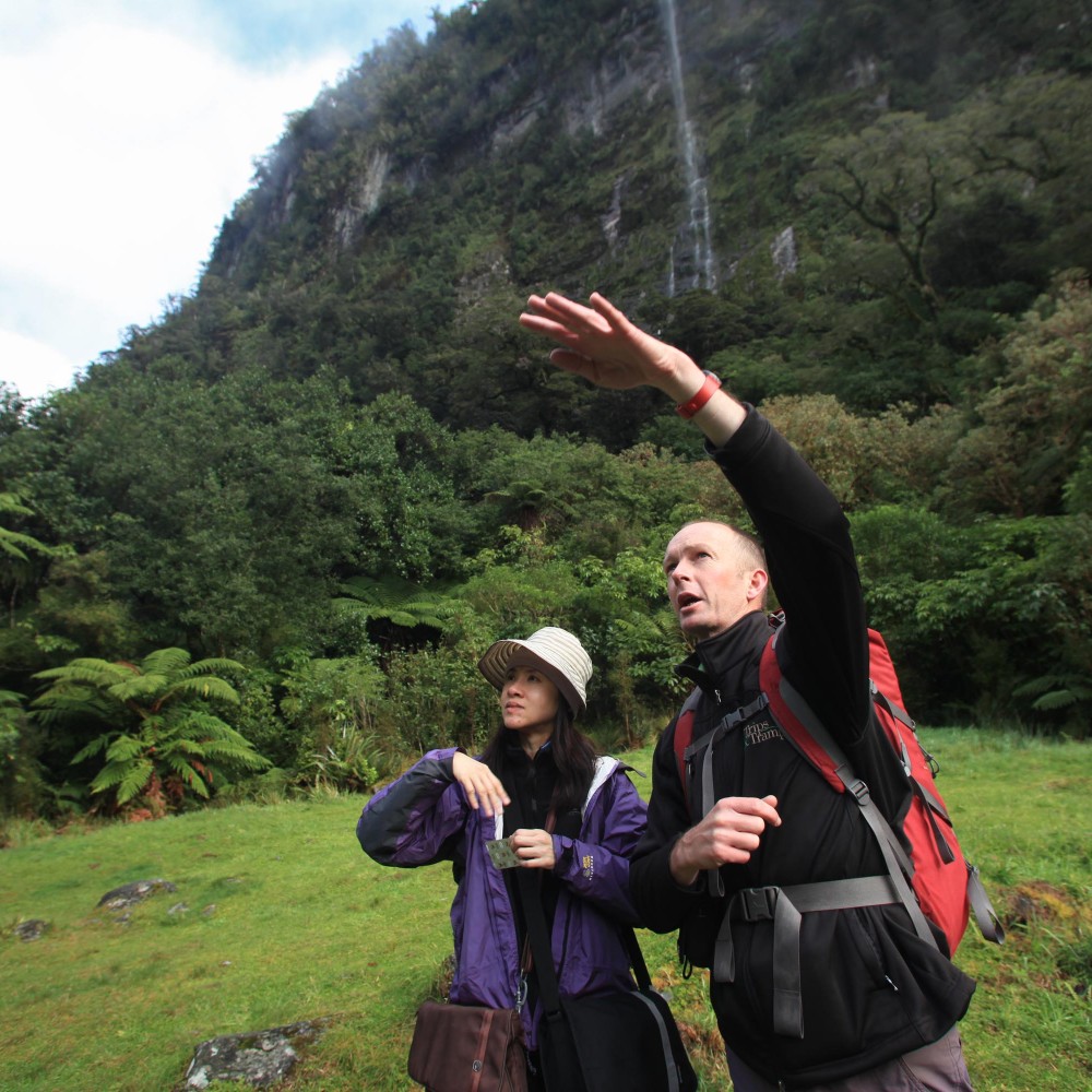 There is not much our guides don't know about the Milford Track!