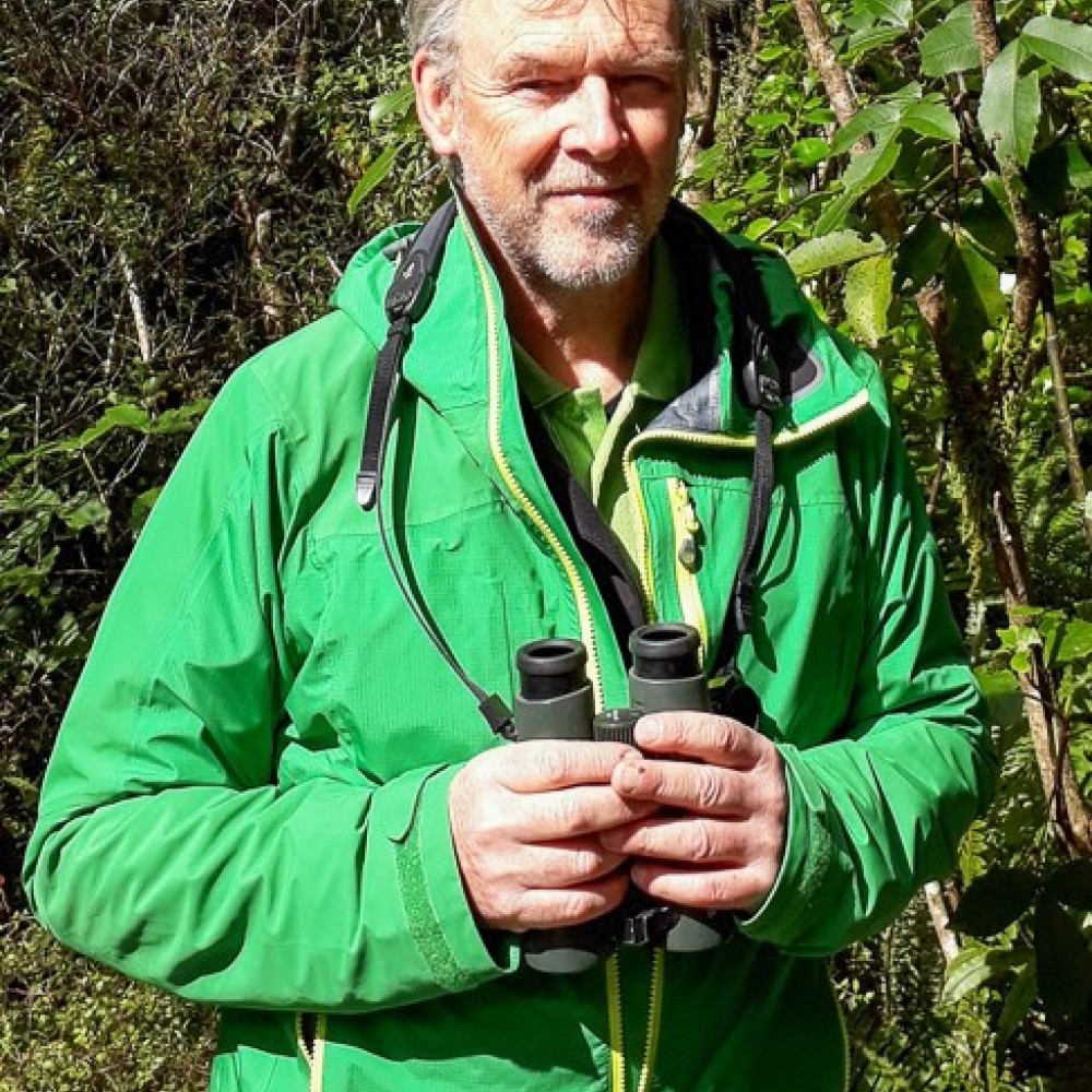 Neil 2017